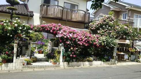 宇都豊行さんの花づくりの写真