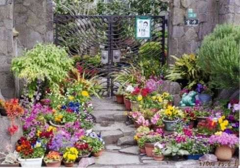 宮原正昭さんの花と緑づくりの写真