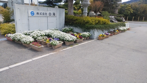 株式会社白海さんの花と緑づくりの写真