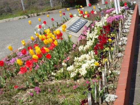 青葉にこにこ緑地隊さんの花と緑づくりの写真