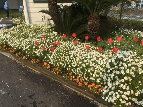 守恒市民センターさんの花と緑づくりの写真