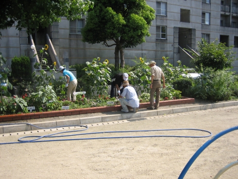 写真：公園愛護会活動状況