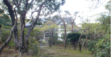 遊歩道から見える旧松本家住宅の画像