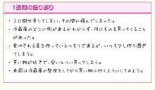 1週間の振り返りの記入例