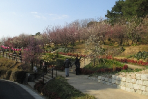 夜宮公園の梅林の画像