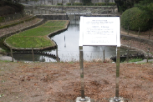 夜宮公園花壇の画像