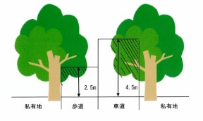 建築限界のイラスト