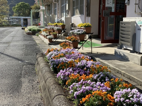 新人賞_新道寺小学校