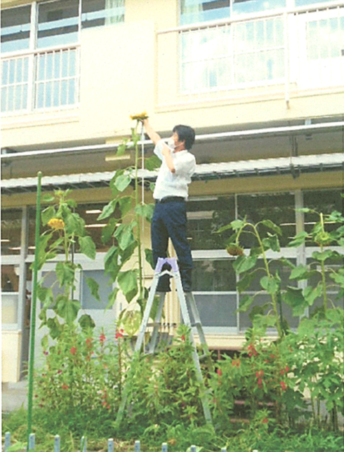 広徳小学校　366.0センチメートル