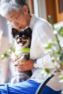 愛犬撮影会