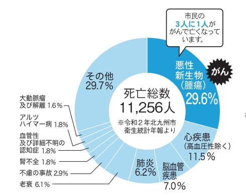 北九州市民の死因グラフ画像