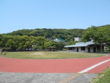 福祉公園芝生広場の写真