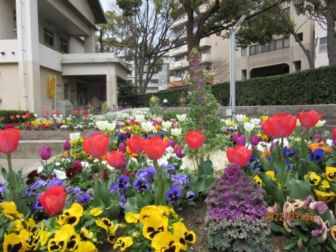 西小倉花壇整備部会さんの花と緑づくりの写真