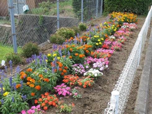 山路一丁目西公園愛護会さんの花と緑づくりの写真