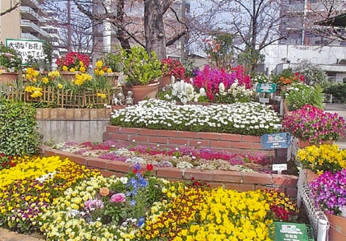 金田第一町内会さんの花と緑づくりの写真