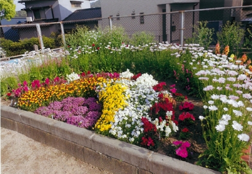 企救丘1町内年長者会さんの花と緑づくりの写真
