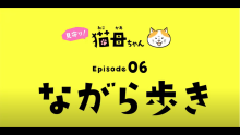 猫母ちゃん　ながら歩き編