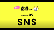 猫母ちゃん　SNS編