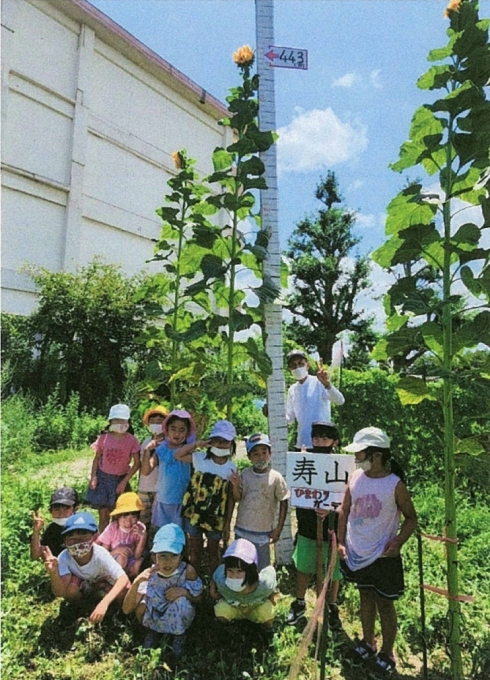 寿山小学校　443.0センチメートル