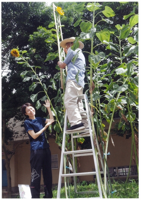 今町小学校　410.0センチメートル