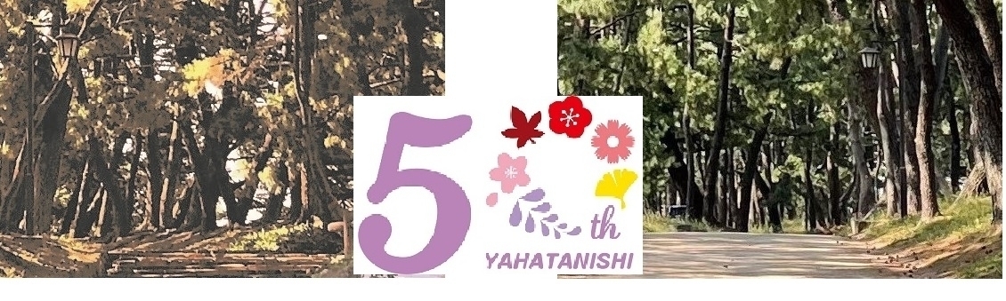 50周年　桜