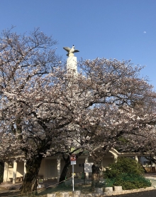 忠霊塔・広場の写真