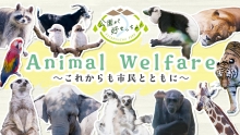 到津の森公園サムネ