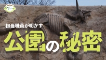 公園秘密_サムネイル