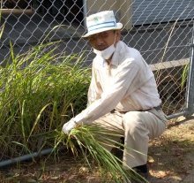 岩ヶ鼻北公園　中村　澄夫　氏の写真