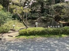 写真：河頭山公園駐車場