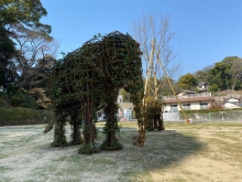 写真：到津の森公園南側エントランス　トピアリー