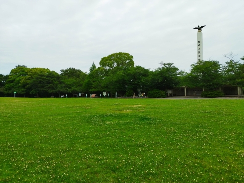 写真：夜宮公園　大芝生広場から戦没者慰霊塔を望む