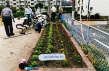 観音寺公園花づくり仲良しクラブの写真