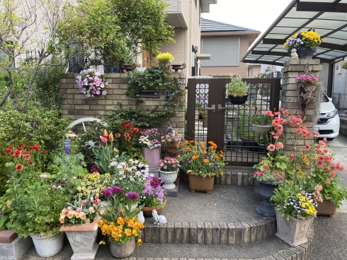 石津 康子さんの花と緑づくりの写真