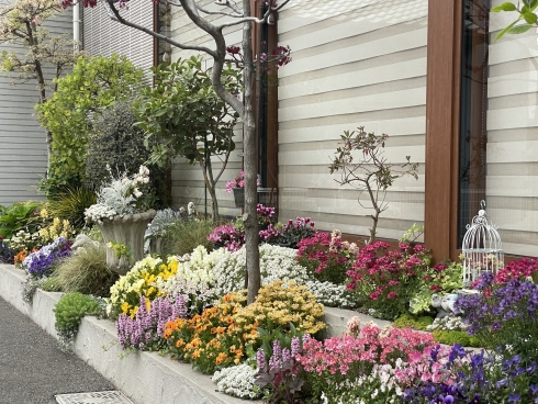 戸畑なかしま歯科さんの花と緑づくりの写真