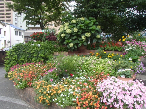 金田第一町内会さんの花と緑づくりの写真