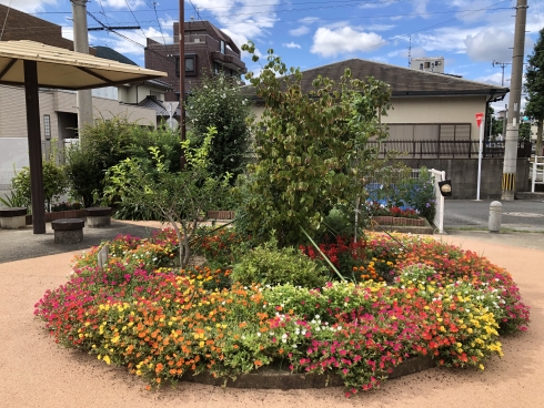 十字ヶ丘1号公園愛護会さんの花と緑づくりの写真