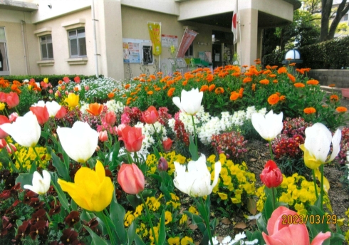 西小倉花壇整備部会さんの花と緑づくりの写真
