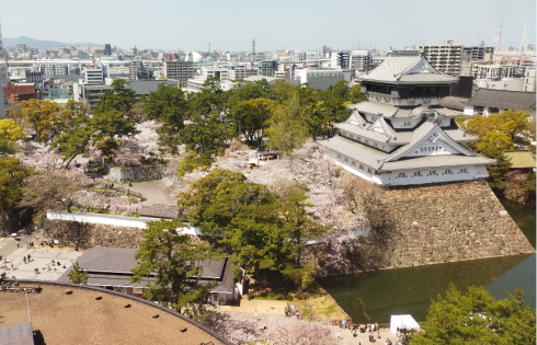 桜満開の小倉城の写真