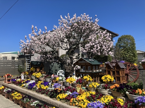 前田優二さんの花と緑づくりの写真