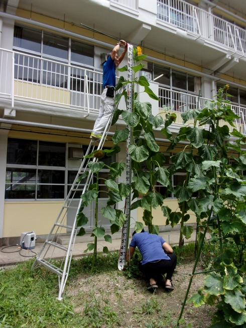 天籟寺小学校