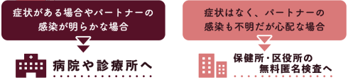 【検査はどこで】症状がある場合やパートナーの感染が明らかな場合：「病院や診療所へ」　症状はなく、パートナーの感染も不明だが心配な場合：「保健所・区役所の無料匿名検査へ」