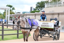 大人気のポニーイベント画像