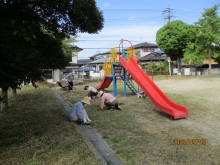 片山三丁目公園愛護会の写真