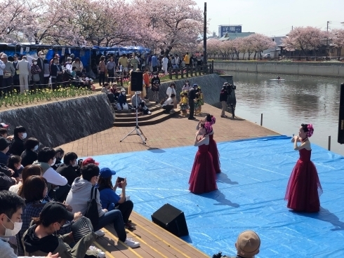 則松金山川チューリップまつり