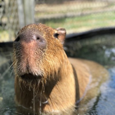 花農丘公園(はなのおかこうえん)北九州市立総合農事センター