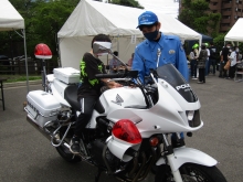 多目的広場の働く車コーナーの様子