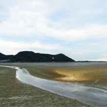 「曽根干潟」の写真