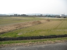 【工事前】笹尾川右岸側付近の写真