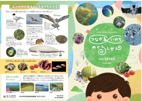 北九州市生物多様性戦略2025-2030 子ども用の表紙